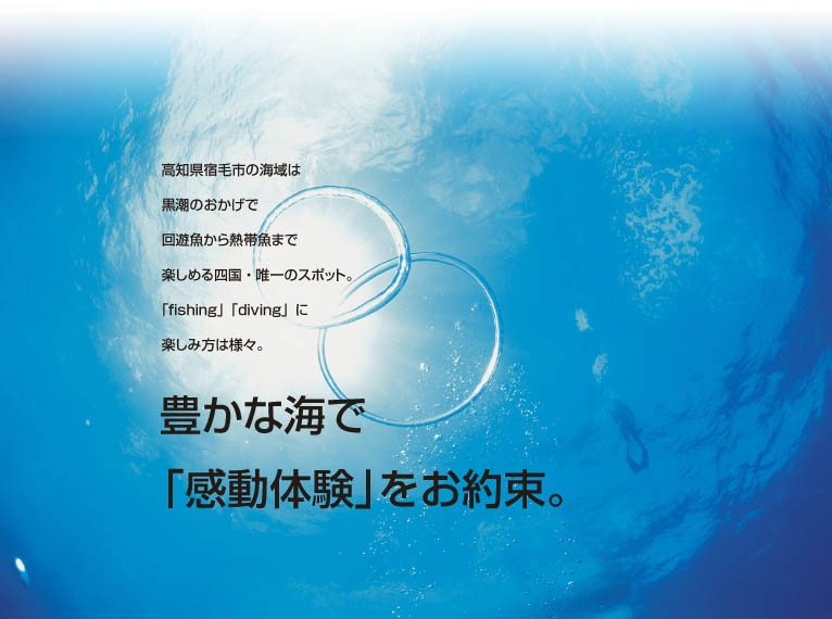 渡船 柴田 柴田渡船事故, 平成27年上半期